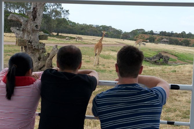 Deluxe Safari Adventure at Werribee Open Range Zoo - Excl. Entry - Experience Details