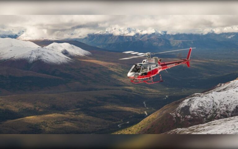Denali National Park: Helicopter and Hike Adventure