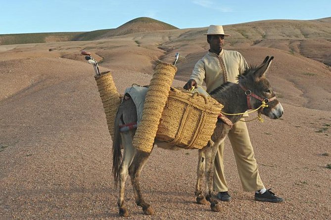 Desert Agafay and Atlas Mountains Day Trip From Marrakech & Camel Ride