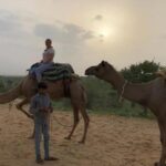 1 desert camel safari day tour in jodhpur Desert Camel Safari Day Tour In Jodhpur