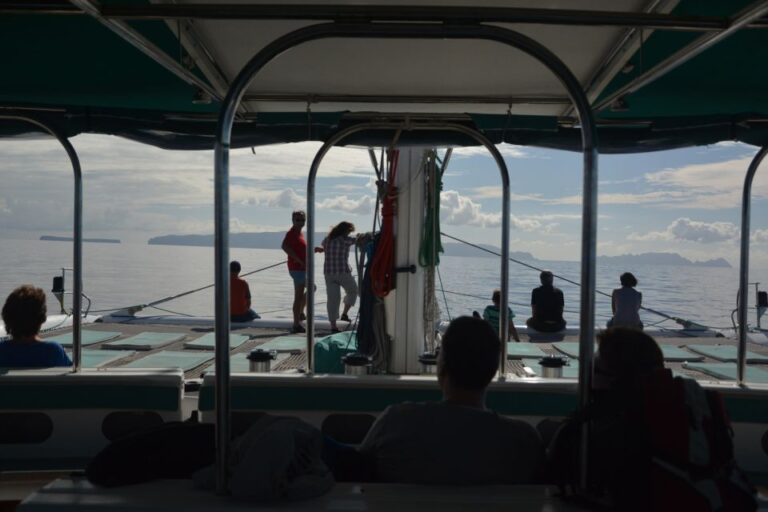 Desertas Islands Full-Day Catamaran Trip From Funchal