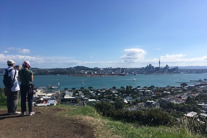 Devonport Volcanoes Afternoon Tour From Auckland