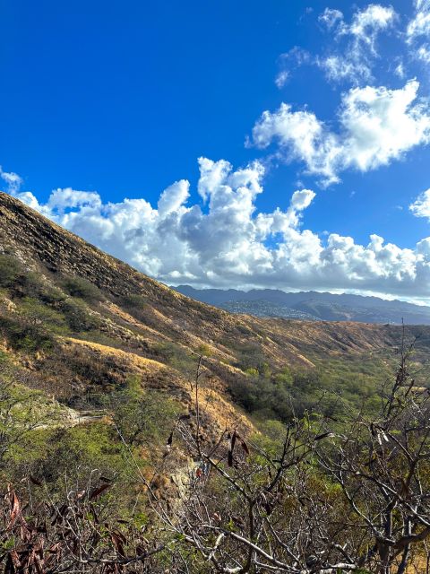 Diamond Head Manoa Falls