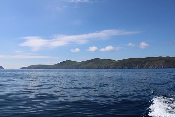 Dingle Blasket Island Adventure & Wildlife Cruise (Mar )