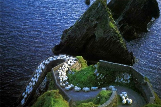 1 dingle peninsula day tour from killarney including the wild altanic way Dingle Peninsula Day Tour From Killarney: Including the Wild Altanic Way