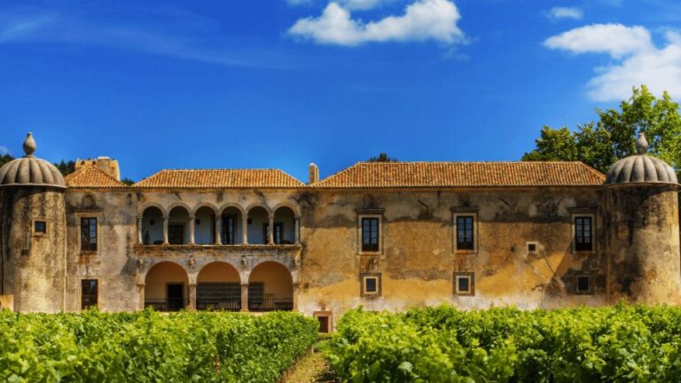 Discover Arrábida: Wine and Scenic Wonders