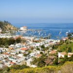 1 discover avalon catalina scenic tour Discover Avalon: Catalina Scenic Tour