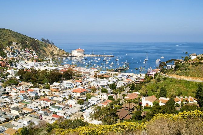 Discover Avalon: Catalina Scenic Tour - Tour Highlights