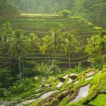 1 discover best of bali in 2 day private tour package all included Discover Best Of Bali in 2 Day Private Tour Package-All Included