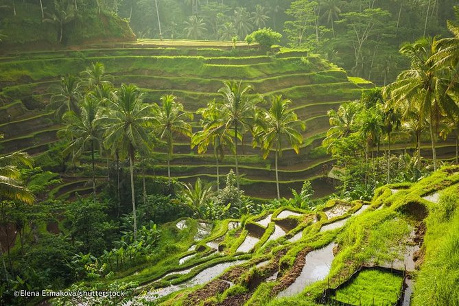 1 discover best of bali in 2 day private tour package all included Discover Best Of Bali in 2 Day Private Tour Package-All Included