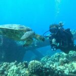 1 discover scuba diving class lahaina Discover Scuba Diving Class - Lahaina