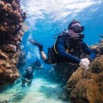 1 discover scuba diving in palamos Discover Scuba Diving in Palamos