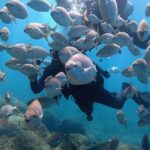 1 discover scuba diving in puerto de mogan Discover Scuba Diving in Puerto De Mogan