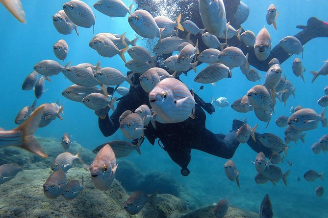 1 discover scuba diving in puerto de mogan Discover Scuba Diving in Puerto De Mogan