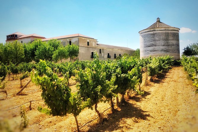 1 discover the authentic wine culture of rueda Discover the Authentic Wine Culture of Rueda