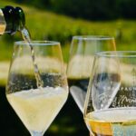 1 discovery of a champagne from vintner from the cellar to the tasting Discovery of a Champagne From Vintner, From the Cellar to the Tasting