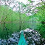 1 dive naturally melting kinshu lake submerged forest canoe tour Dive Naturally! Melting Kinshu Lake Submerged Forest Canoe Tour