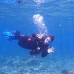 1 dives packages with transfers in tenerife Dives Packages With Transfers in Tenerife