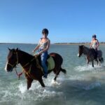 1 djerba 2 hour lagoon horse riding experience Djerba: 2-Hour Lagoon Horse Riding Experience
