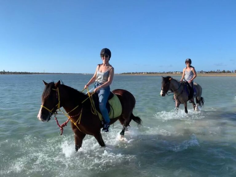 Djerba: 2-Hour Lagoon Horse Riding Experience