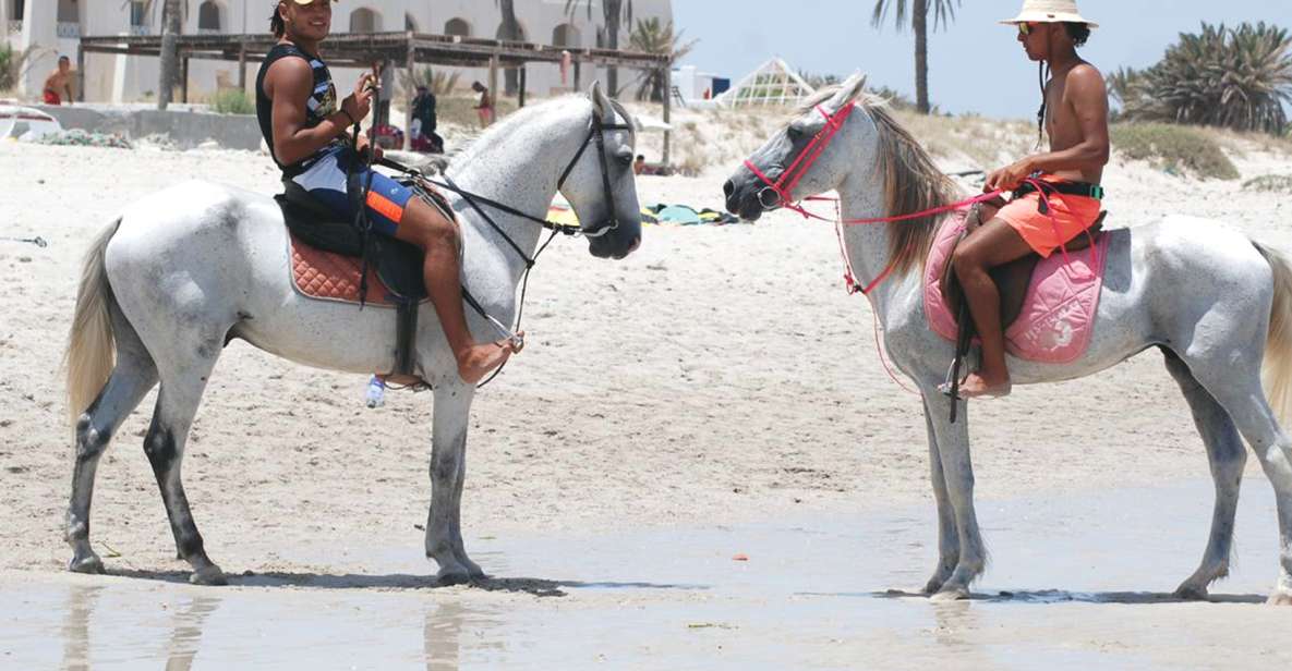 1 djerba guided horseback riding tour Djerba: Guided Horseback Riding Tour