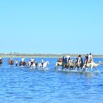 1 djerba horse and camel combo caravan tour Djerba: Horse and Camel Combo Caravan Tour