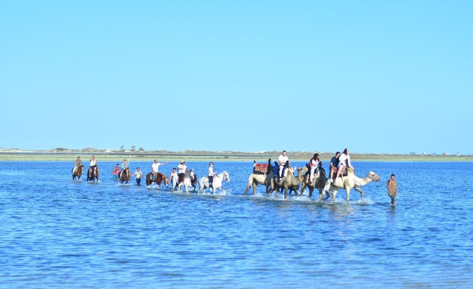 1 djerba horse and camel combo caravan tour Djerba: Horse and Camel Combo Caravan Tour