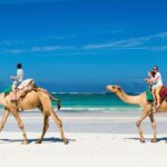 1 djerba lagoon camel ride experience Djerba: Lagoon Camel Ride Experience