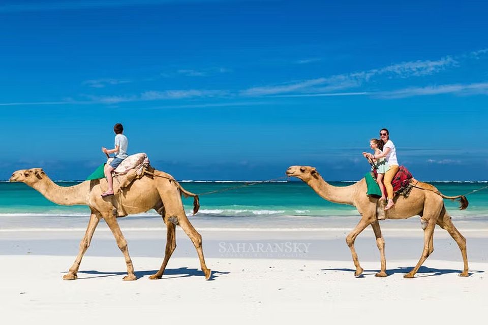 1 djerba lagoon camel ride Djerba: Lagoon Camel Ride Experience