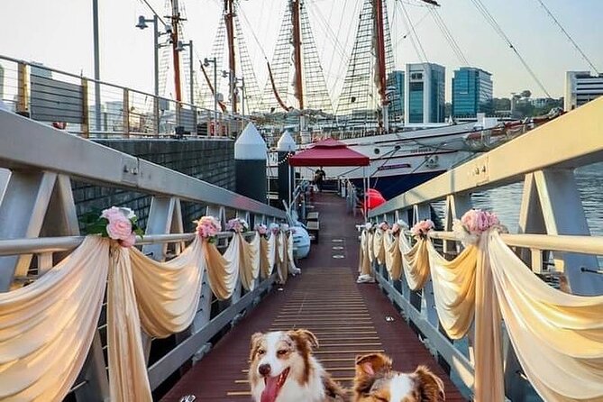 Dog Cruise With 5-Course Seated Dinner