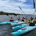 1 dolphin sanctuary kayak tour adelaide Dolphin Sanctuary Kayak Tour Adelaide