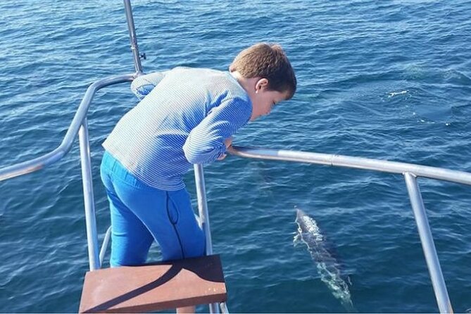 Dolphin Spotting Trips in Fuengirola With Free Drinks and Snacks