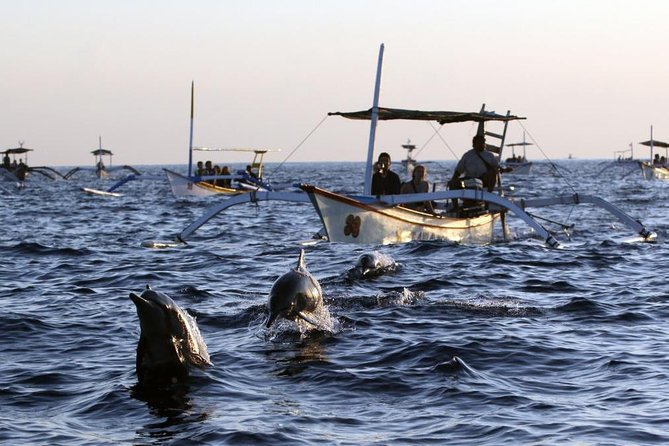 Dolphin Tour and Sunrise Watching in Lovina Beach – All Inclusive