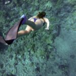 1 dolphin watching and snorkeling adventure in key west Dolphin Watching and Snorkeling Adventure in Key West