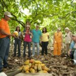 1 dominican republic 3 hour chocolate lovers tour Dominican Republic: 3-Hour Chocolate Lovers Tour