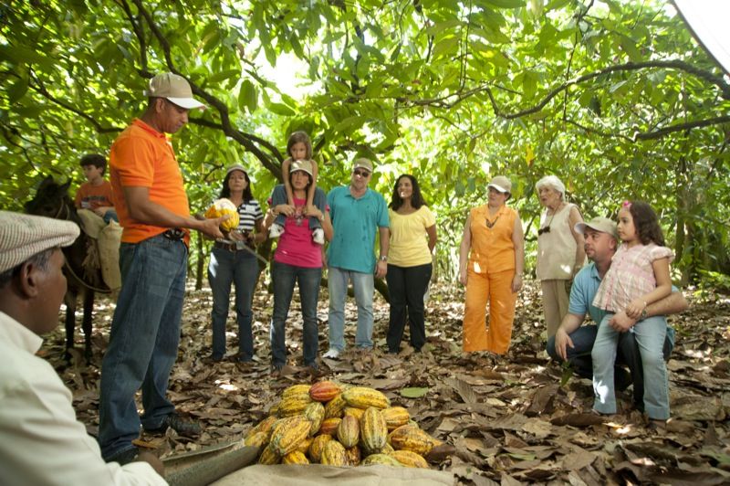 1 dominican republic 3 hour chocolate lovers tour Dominican Republic: 3-Hour Chocolate Lovers Tour