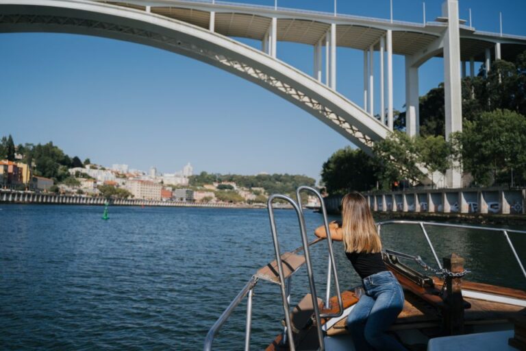 Douro River: Party Boat Tour