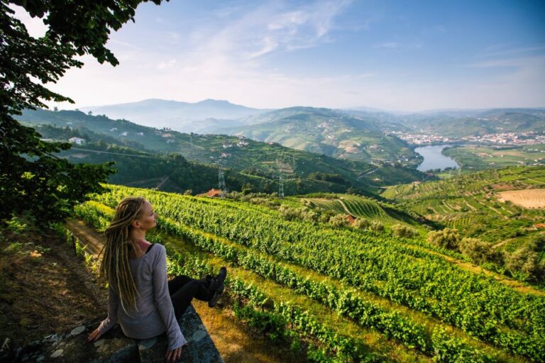 Douro Valley Delights: Wine Tasting and Scenic Vistas