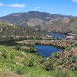 1 douro valley douro valley tour including 3 wineries Douro Valley: Douro Valley Tour Including 3 Wineries