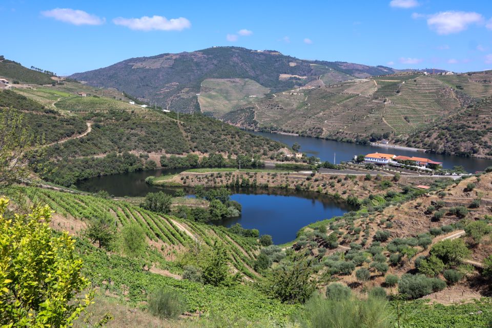 1 douro valley douro valley tour including 3 wineries Douro Valley: Douro Valley Tour Including 3 Wineries