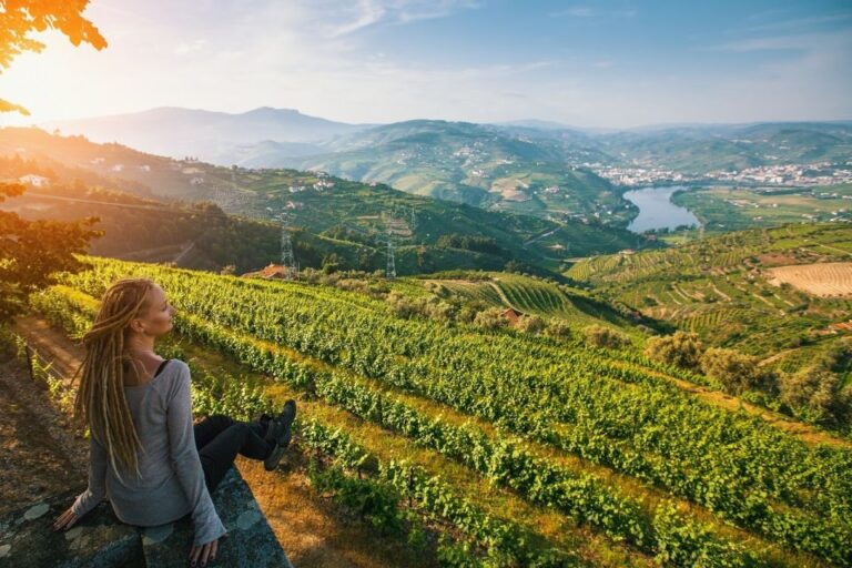 Douro Valley: Full-Day Private Wine Tour With Lunch