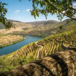 1 douro valley premium full day tour experience Douro Valley: Premium Full-Day Tour Experience