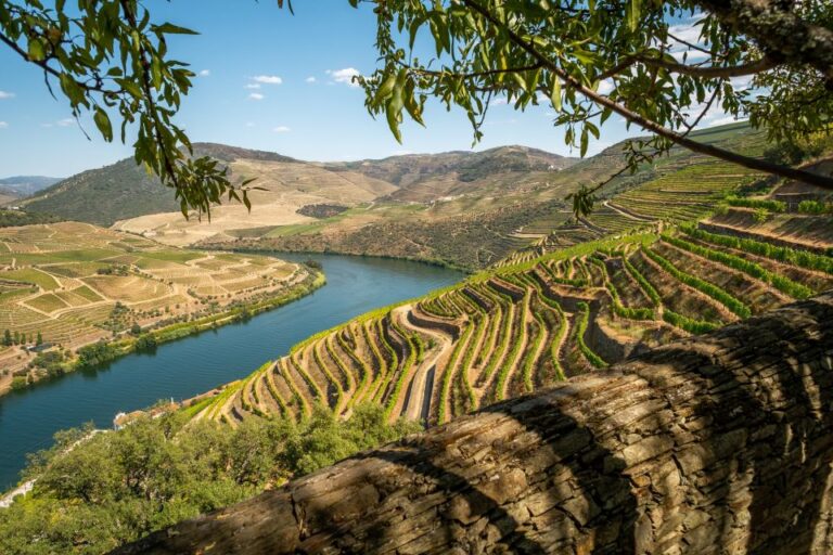 Douro Valley: Premium Full-Day Tour Experience