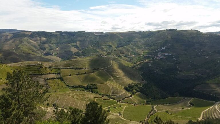 Douro Valley Private Tour