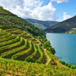 1 douro valley tour with wine tastings cruise and lunch Douro Valley: Tour With Wine Tastings, Cruise, and Lunch