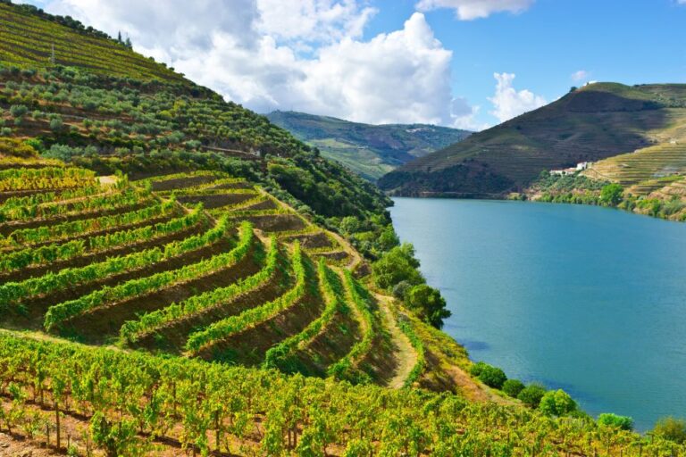 Douro Valley: Tour With Wine Tastings, Cruise, and Lunch
