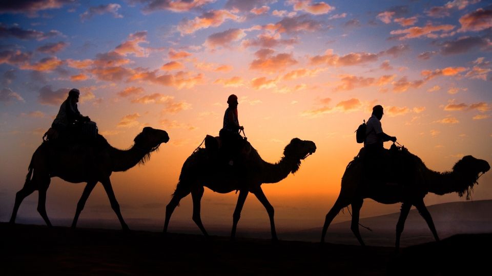 1 douz sunset or sunrise sahara desert camel ride Douz: Sunset or Sunrise Sahara Desert Camel Ride