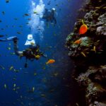 1 dsd discover scuba diving for a beginner orcertified DSD Discover Scuba Diving for a Beginner Orcertified