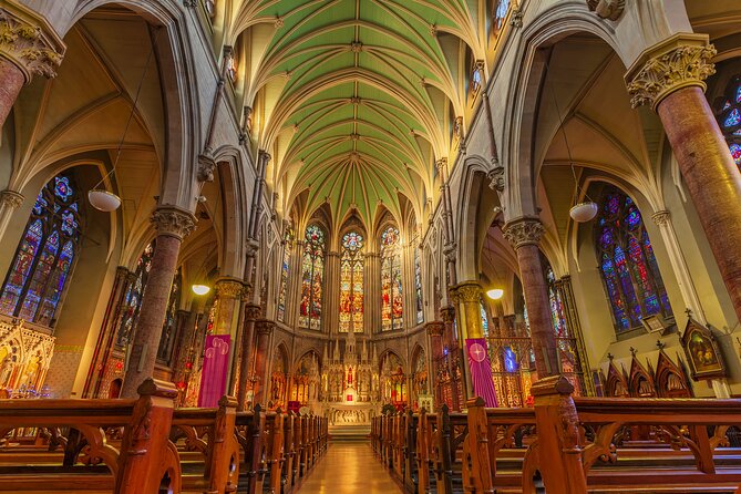 Dublin City & St Patricks Cathedral Half-Day Tour by Car
