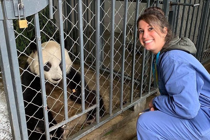 1 dujiangyan panda base tour with transfer and volunteer option mar Dujiangyan Panda Base Tour With Transfer and Volunteer Option (Mar )